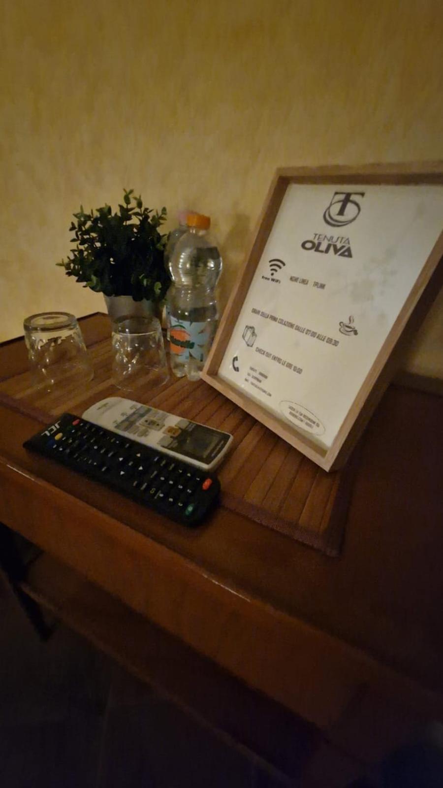 Tenuta Oliva フィシャーノ エクステリア 写真