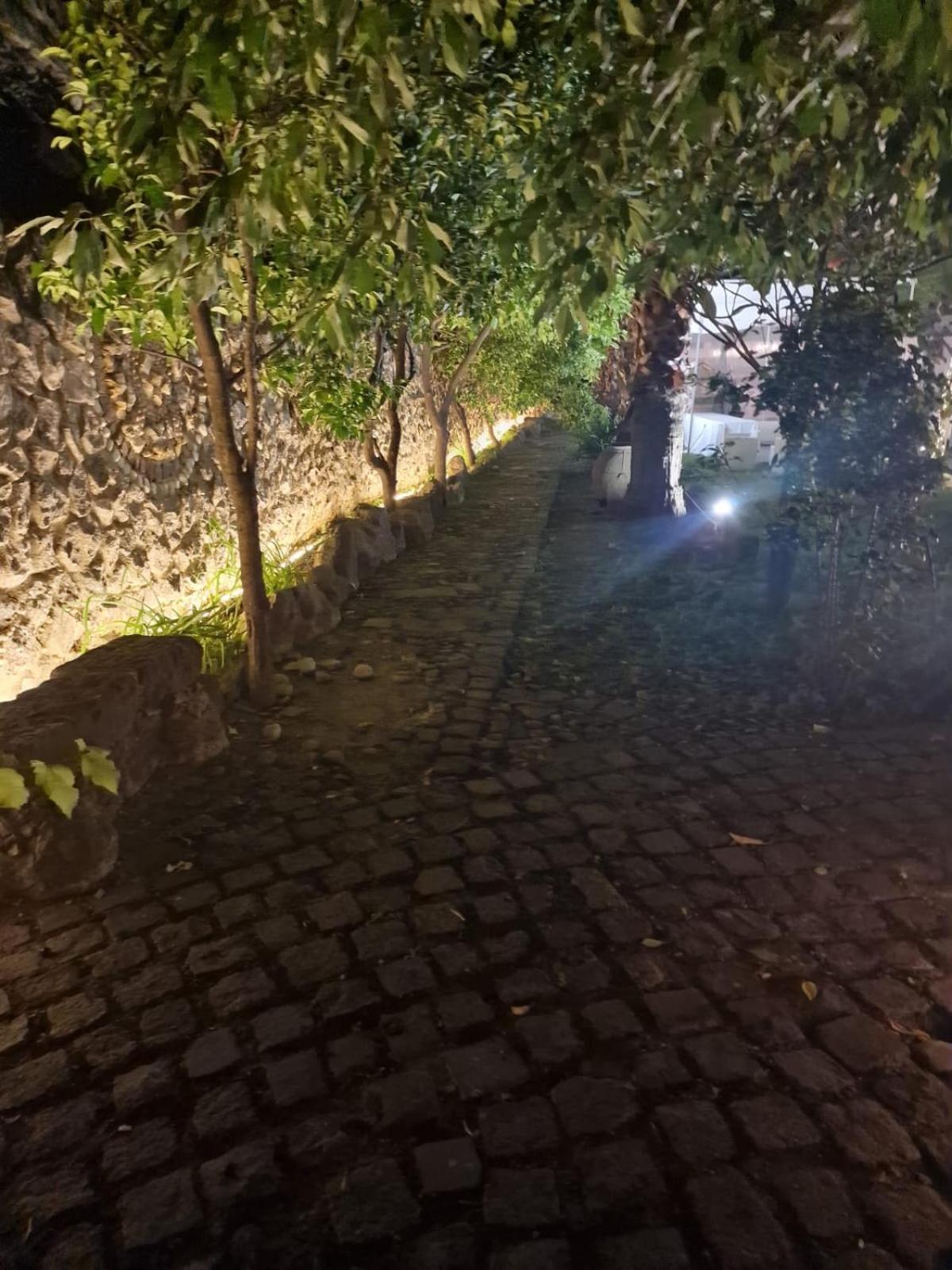 Tenuta Oliva フィシャーノ エクステリア 写真